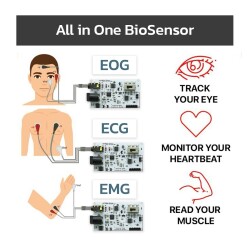 EMG EOG EKG Sensör Kartı (Kas, Göz ve Kalp Sinyalleri Algılama) - MaM Sense